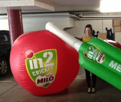 cricket-ball-bat-inflatable