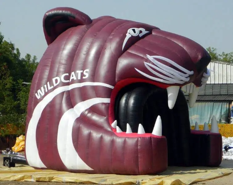wildcats-entry-tunnel