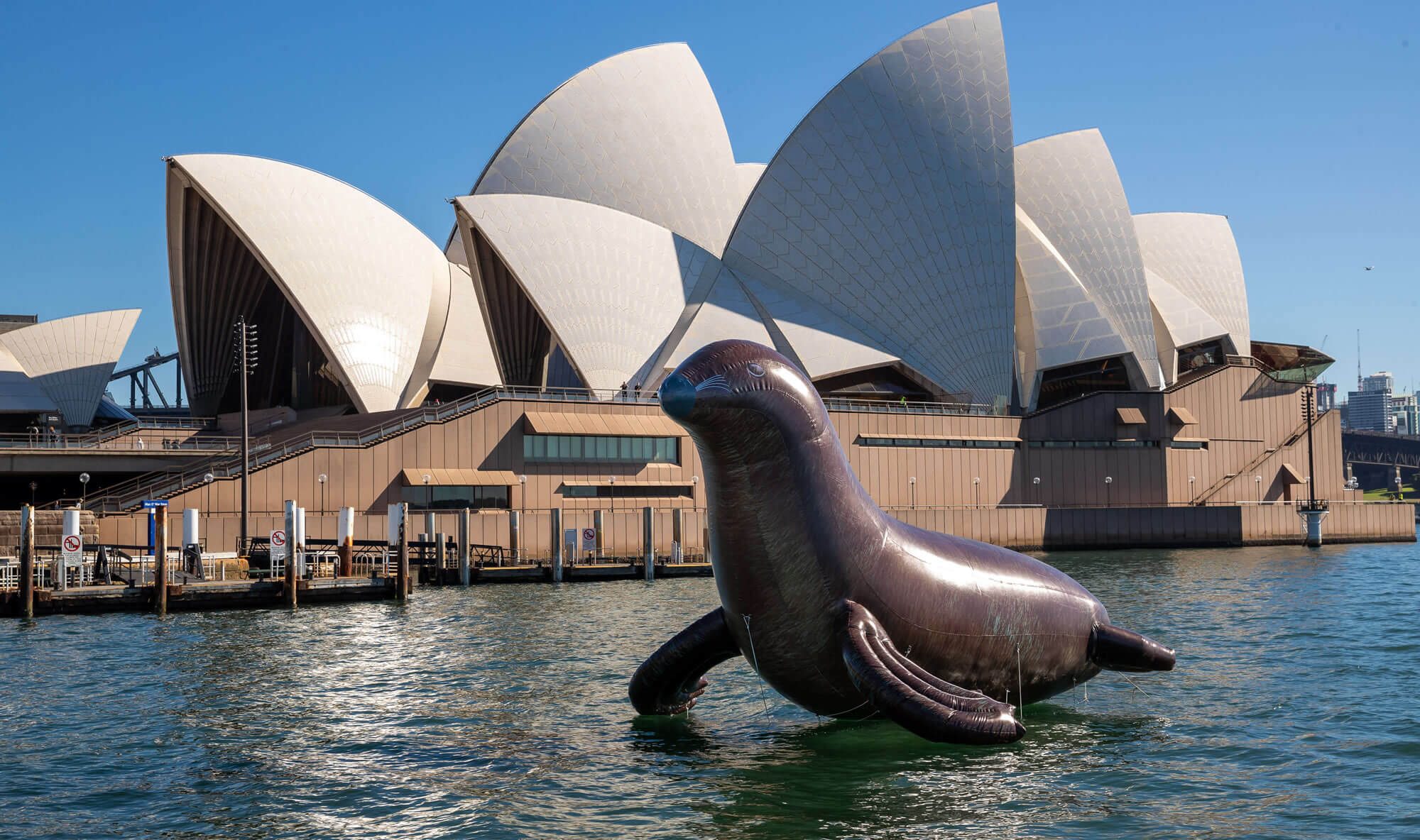 Custom Shape Giant Inflatable